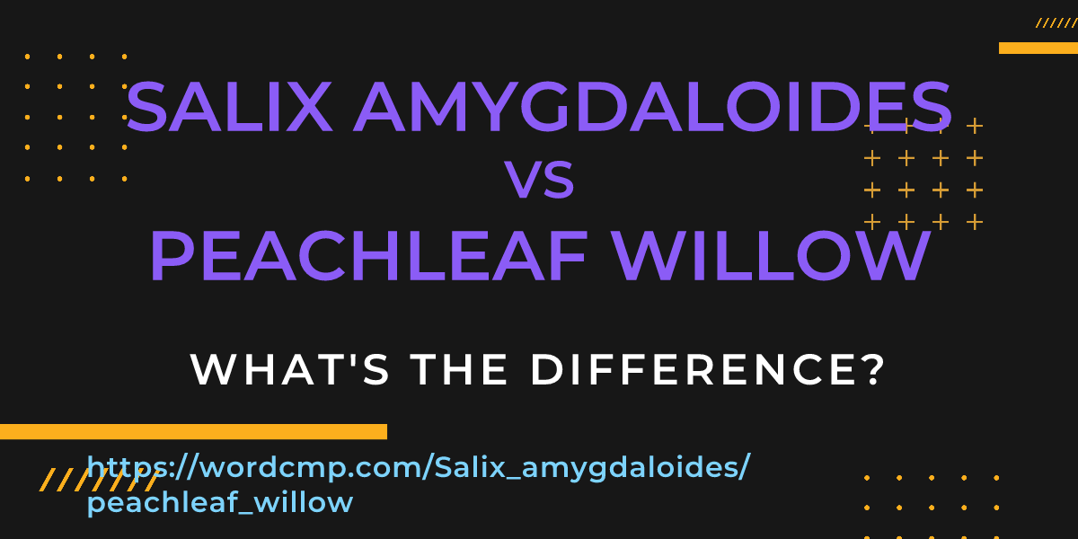 Difference between Salix amygdaloides and peachleaf willow