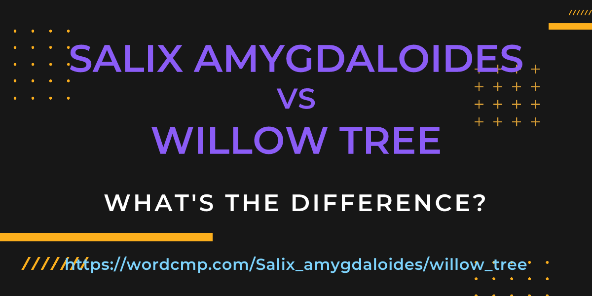 Difference between Salix amygdaloides and willow tree