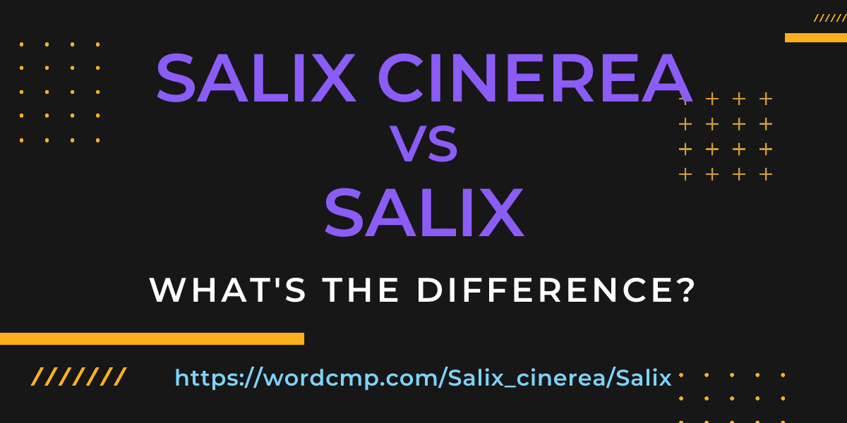 Difference between Salix cinerea and Salix