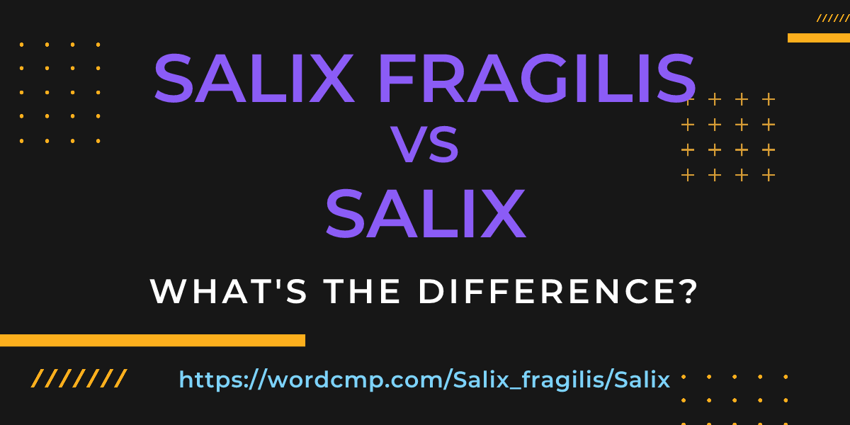 Difference between Salix fragilis and Salix