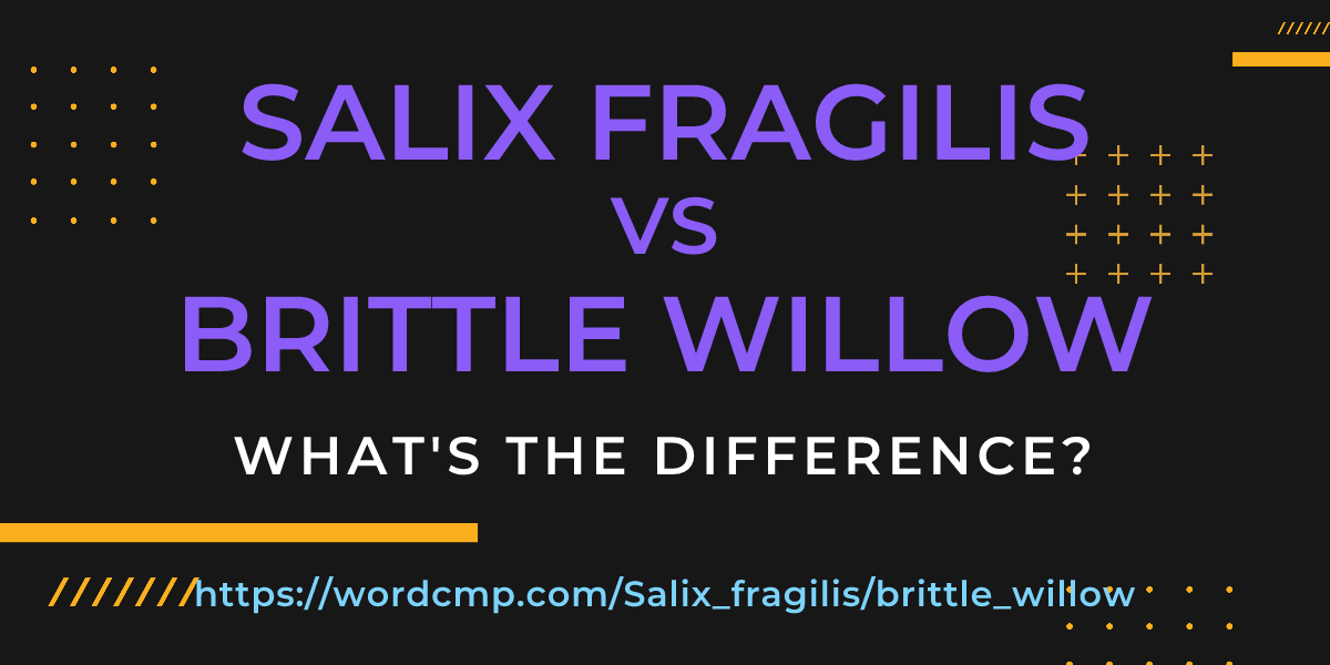 Difference between Salix fragilis and brittle willow