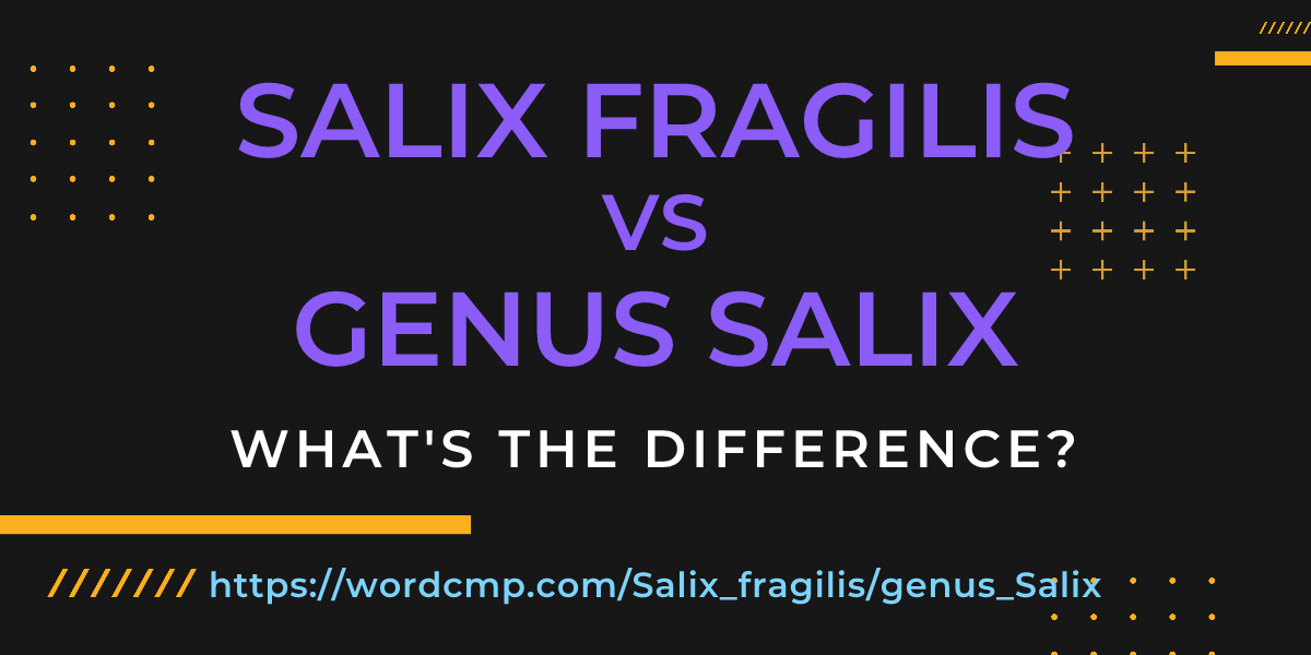 Difference between Salix fragilis and genus Salix