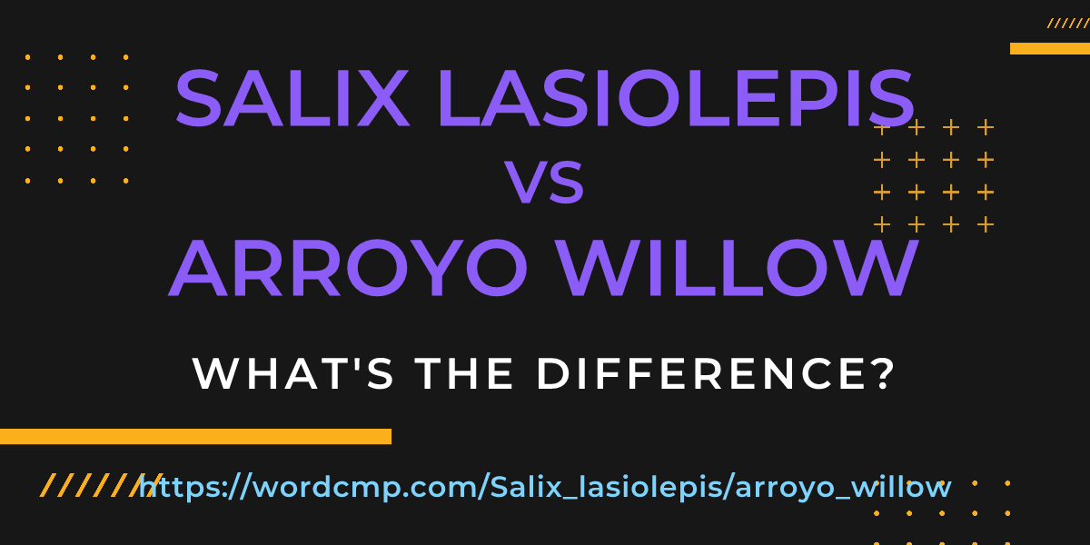 Difference between Salix lasiolepis and arroyo willow