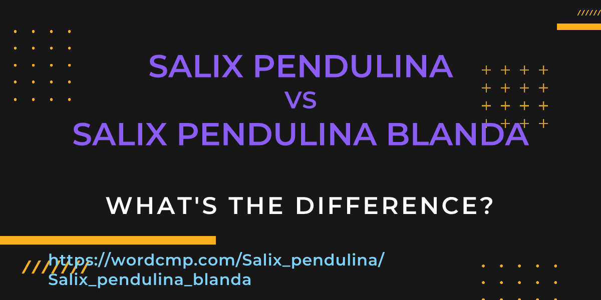 Difference between Salix pendulina and Salix pendulina blanda