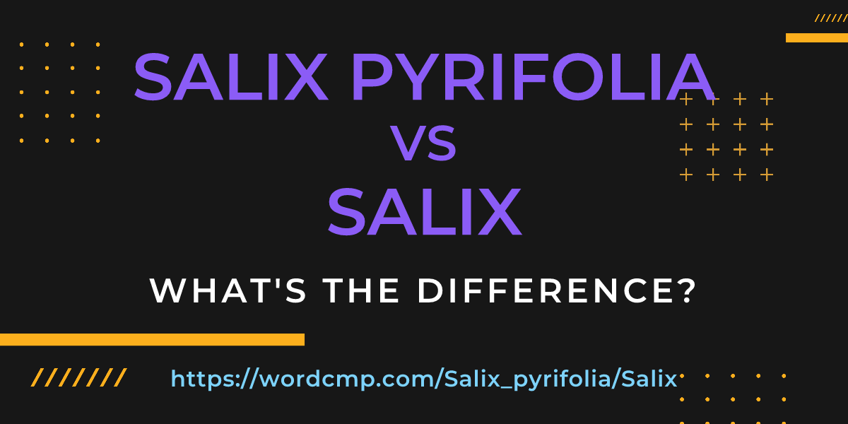 Difference between Salix pyrifolia and Salix