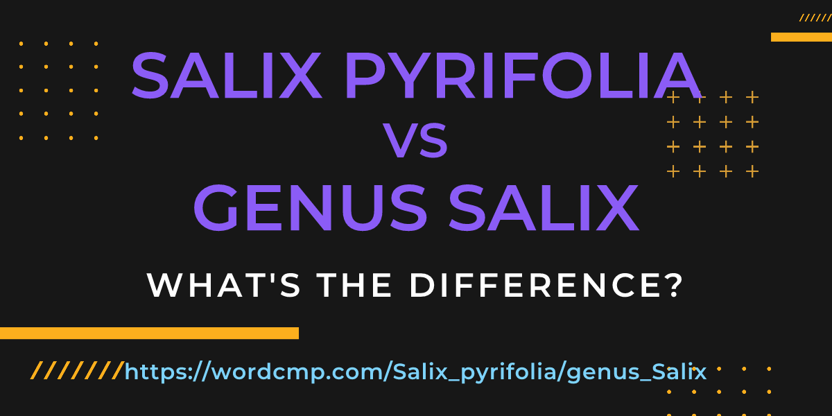 Difference between Salix pyrifolia and genus Salix