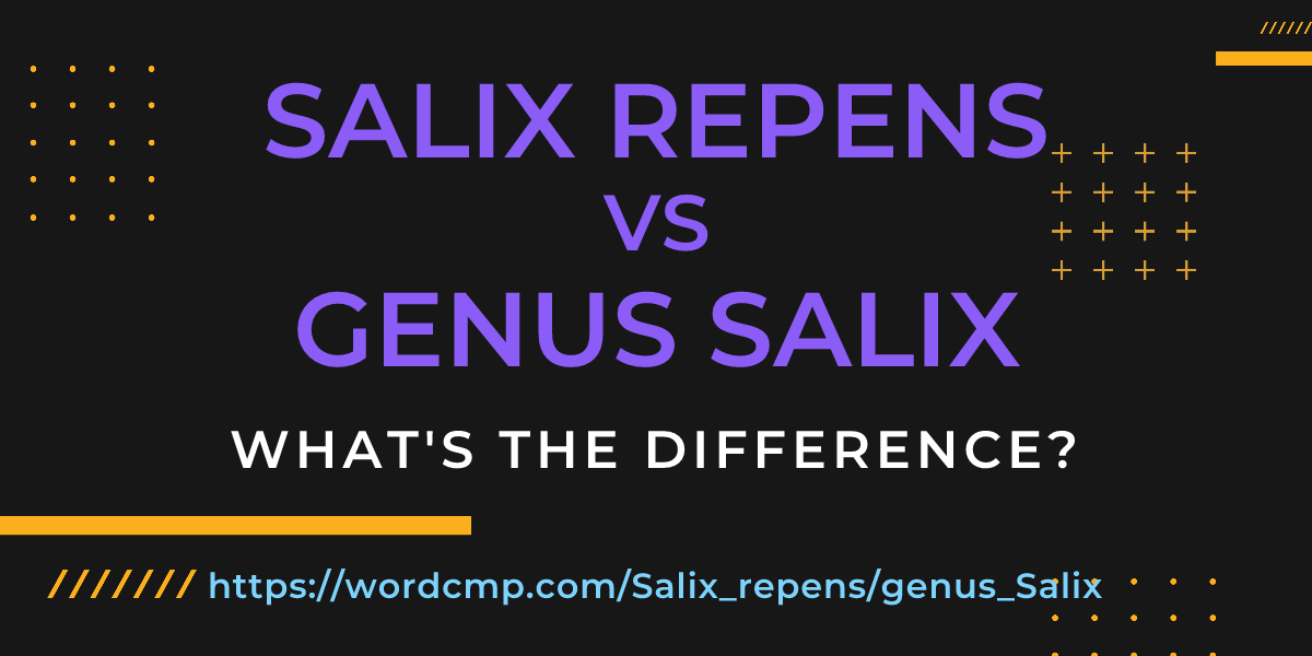 Difference between Salix repens and genus Salix