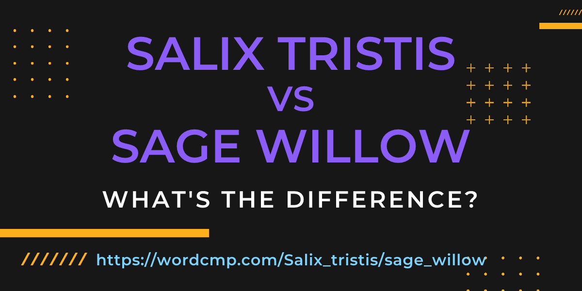 Difference between Salix tristis and sage willow