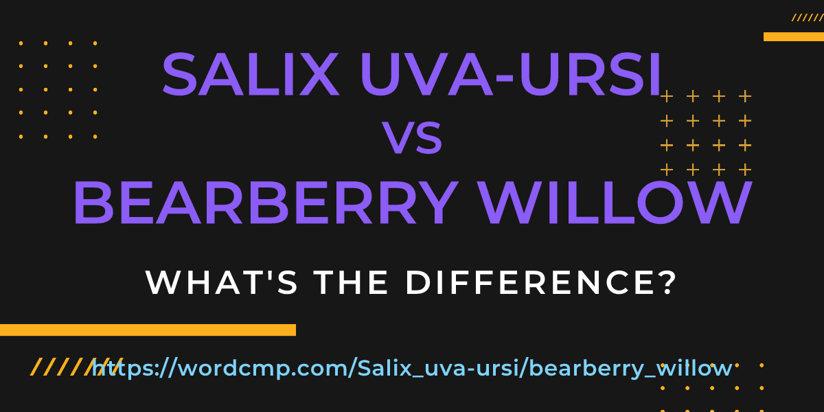 Difference between Salix uva-ursi and bearberry willow