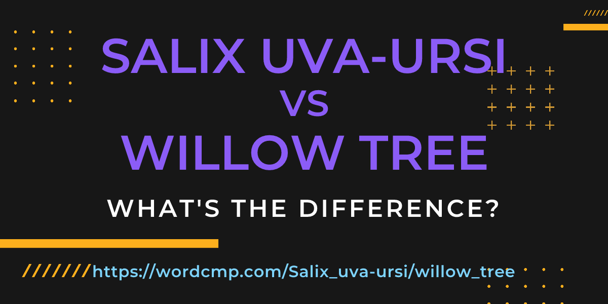 Difference between Salix uva-ursi and willow tree