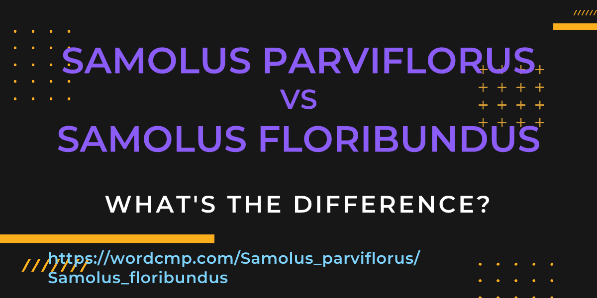 Difference between Samolus parviflorus and Samolus floribundus