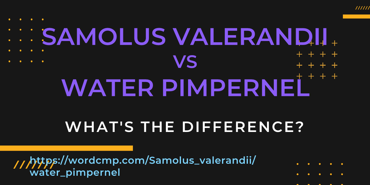Difference between Samolus valerandii and water pimpernel