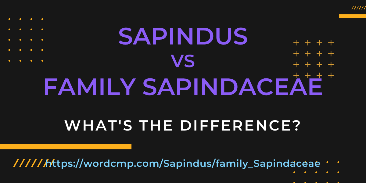 Difference between Sapindus and family Sapindaceae