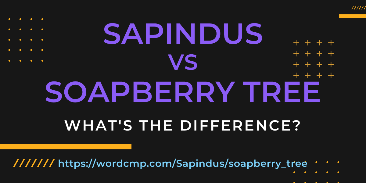 Difference between Sapindus and soapberry tree