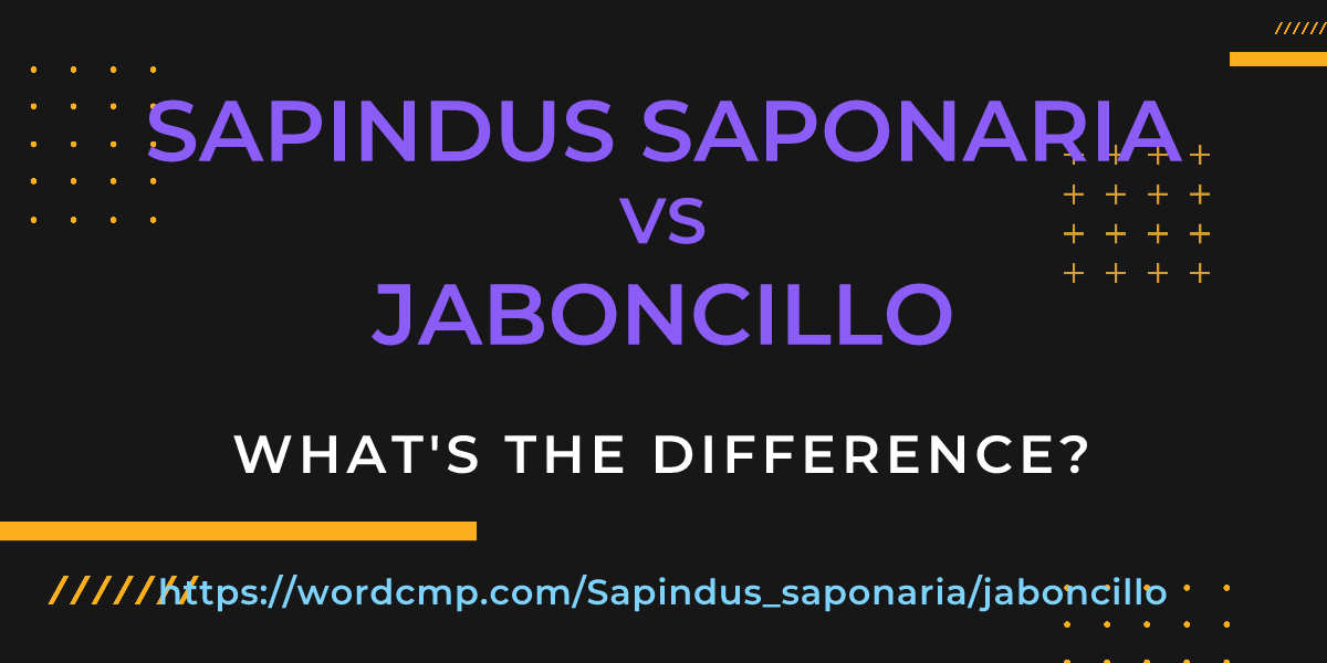 Difference between Sapindus saponaria and jaboncillo
