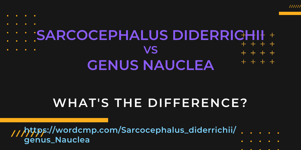 Difference between Sarcocephalus diderrichii and genus Nauclea