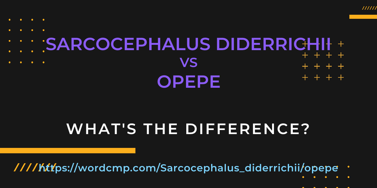 Difference between Sarcocephalus diderrichii and opepe