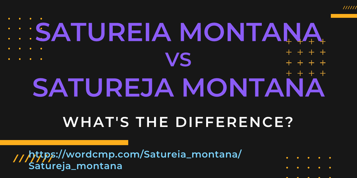 Difference between Satureia montana and Satureja montana