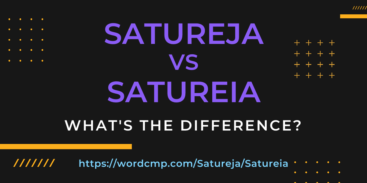 Difference between Satureja and Satureia