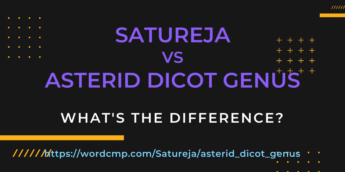 Difference between Satureja and asterid dicot genus