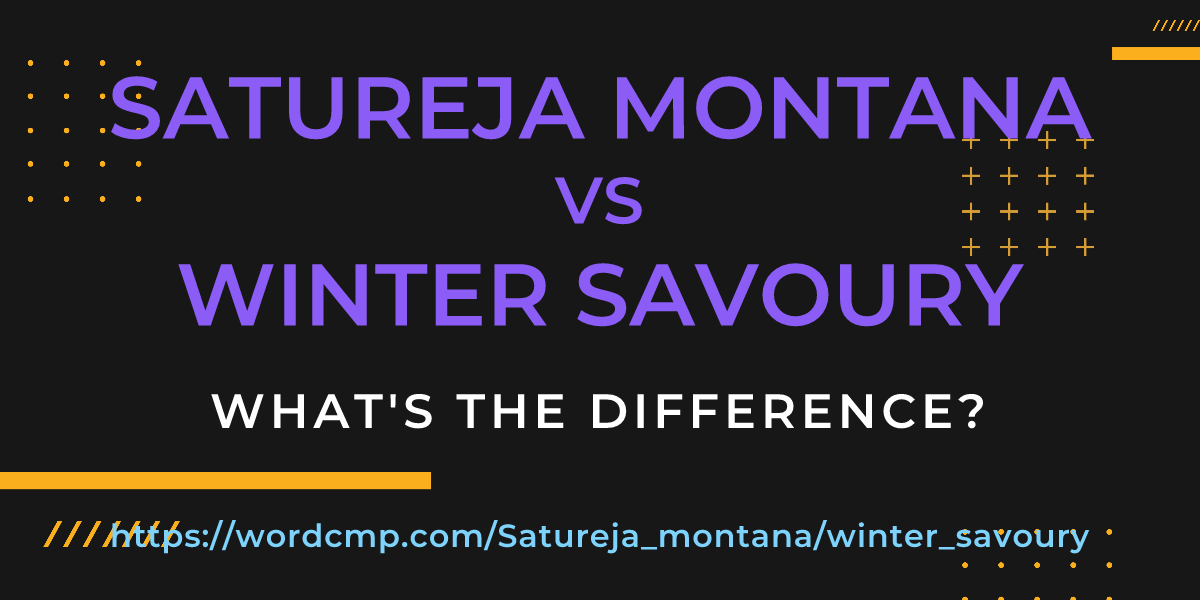 Difference between Satureja montana and winter savoury