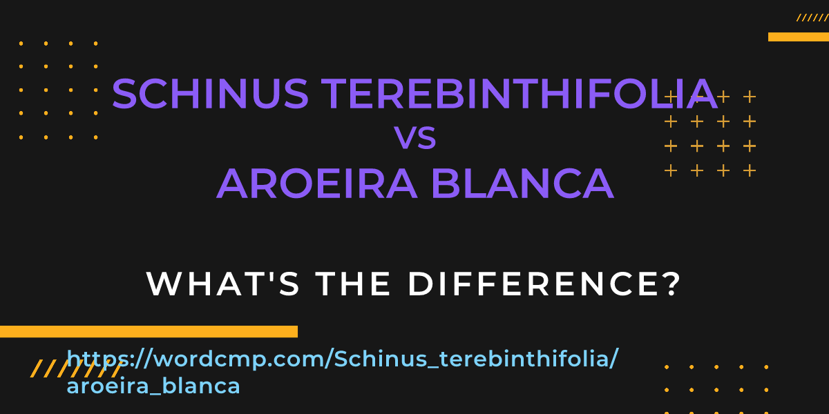 Difference between Schinus terebinthifolia and aroeira blanca