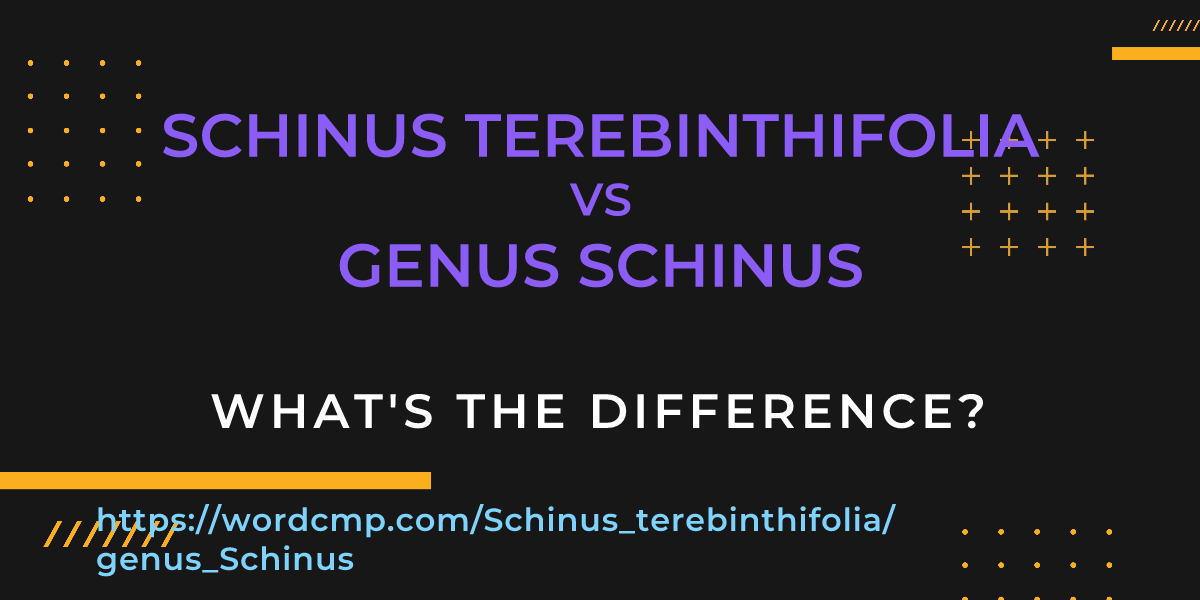 Difference between Schinus terebinthifolia and genus Schinus