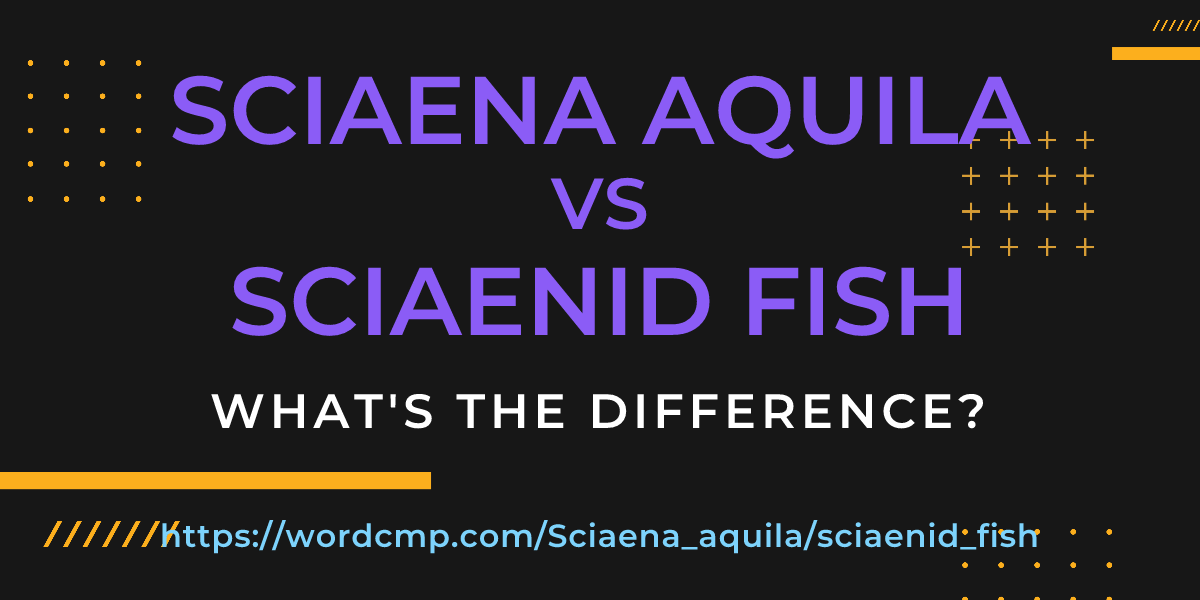 Difference between Sciaena aquila and sciaenid fish