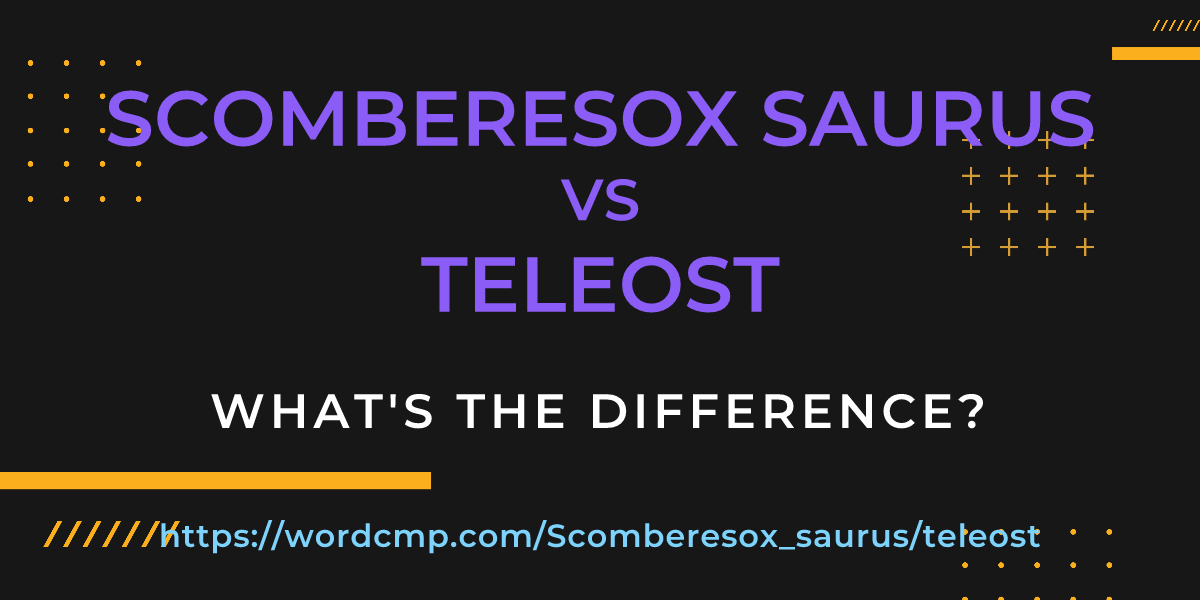 Difference between Scomberesox saurus and teleost