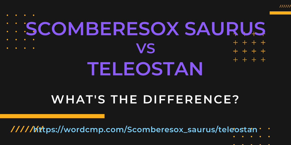 Difference between Scomberesox saurus and teleostan