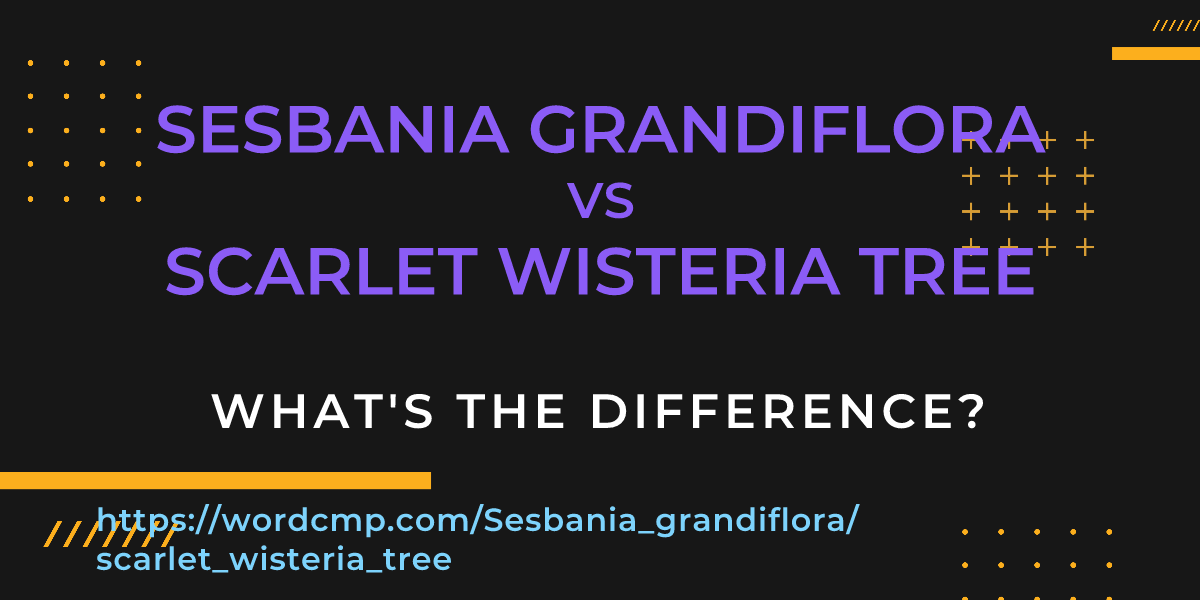 Difference between Sesbania grandiflora and scarlet wisteria tree