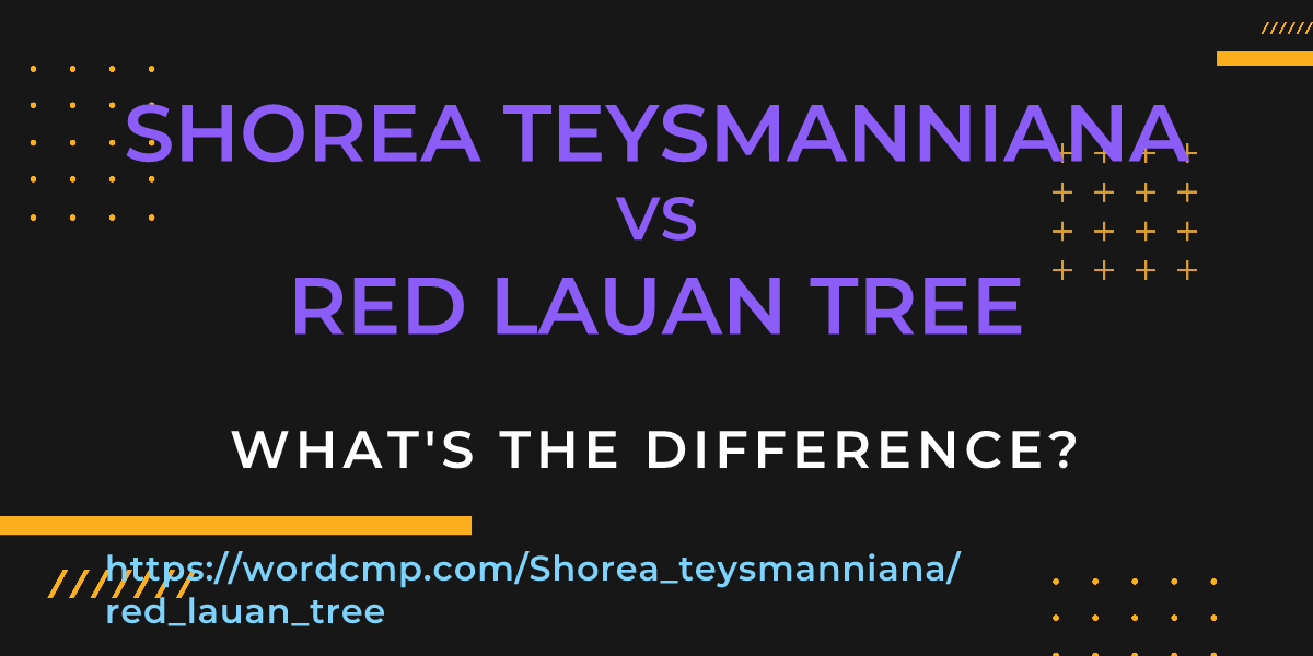 Difference between Shorea teysmanniana and red lauan tree