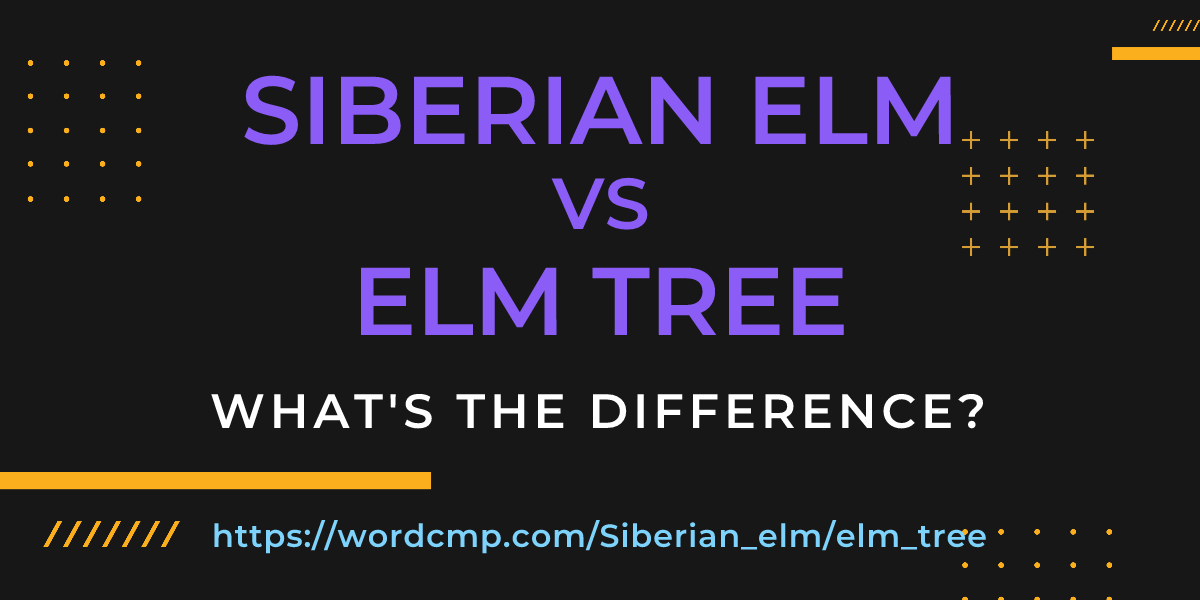 Difference between Siberian elm and elm tree
