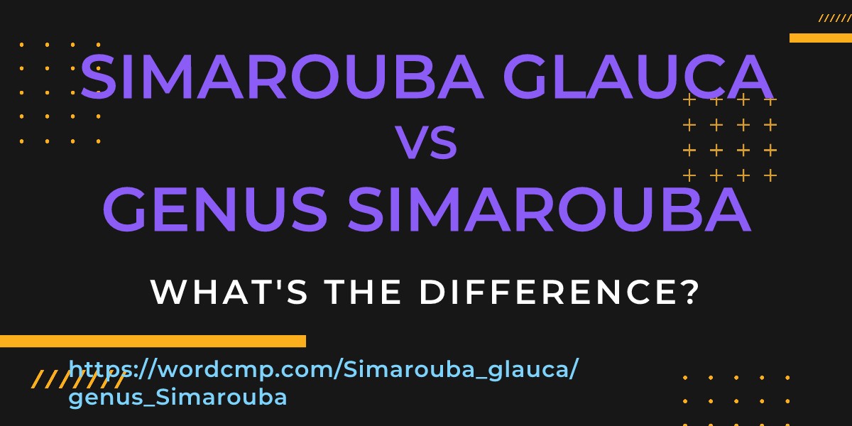 Difference between Simarouba glauca and genus Simarouba