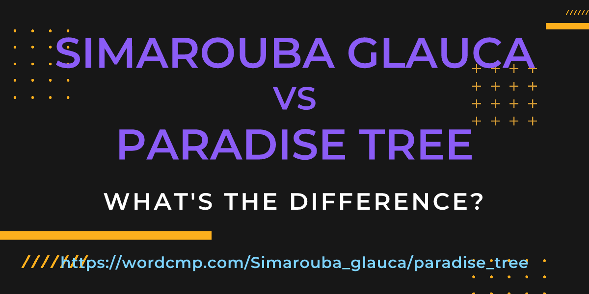 Difference between Simarouba glauca and paradise tree