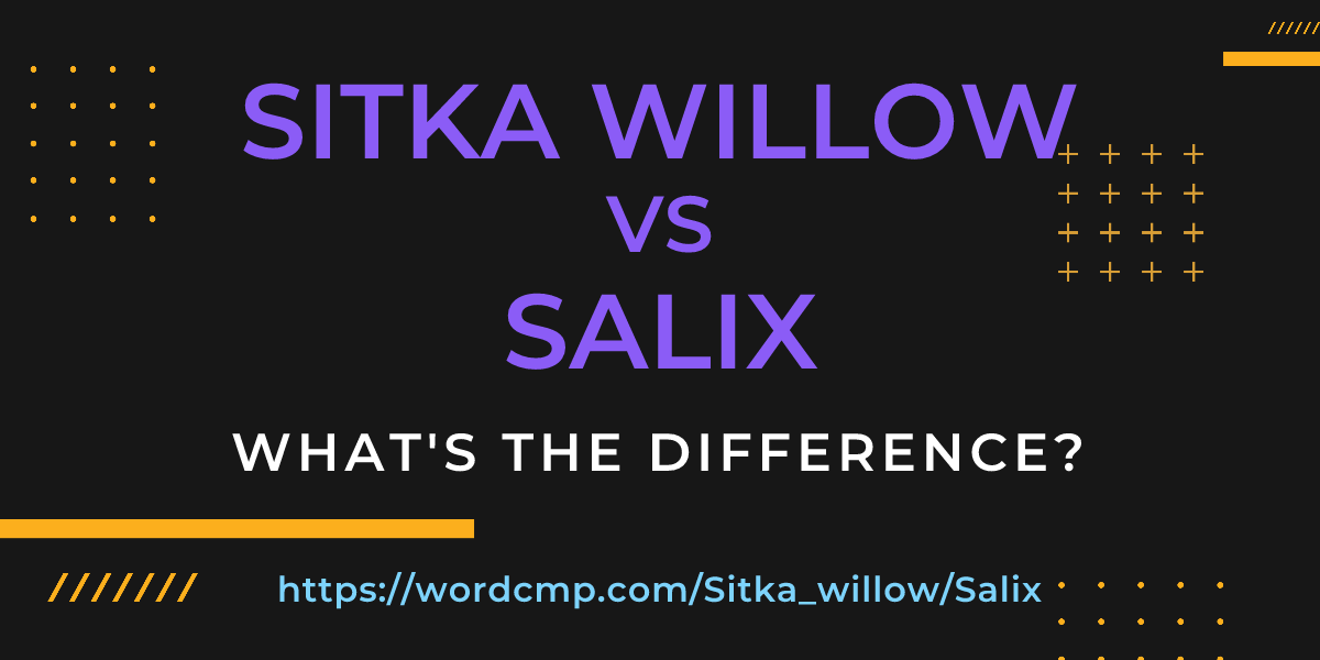 Difference between Sitka willow and Salix