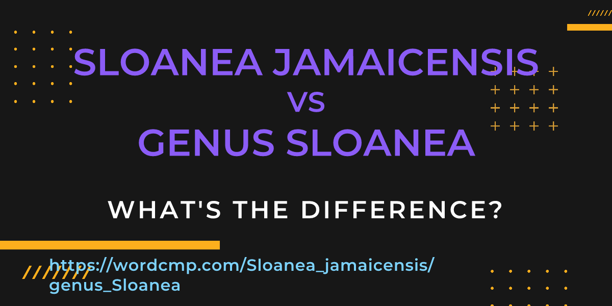 Difference between Sloanea jamaicensis and genus Sloanea