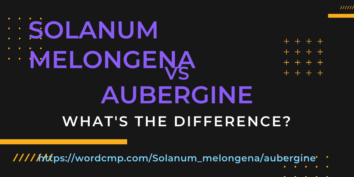 Difference between Solanum melongena and aubergine