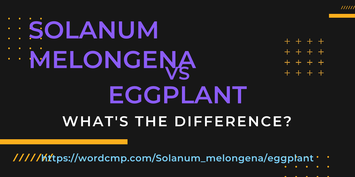 Difference between Solanum melongena and eggplant