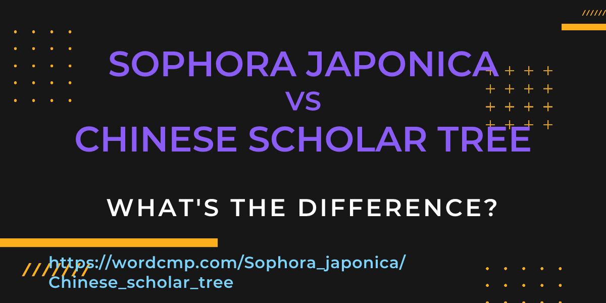 Difference between Sophora japonica and Chinese scholar tree