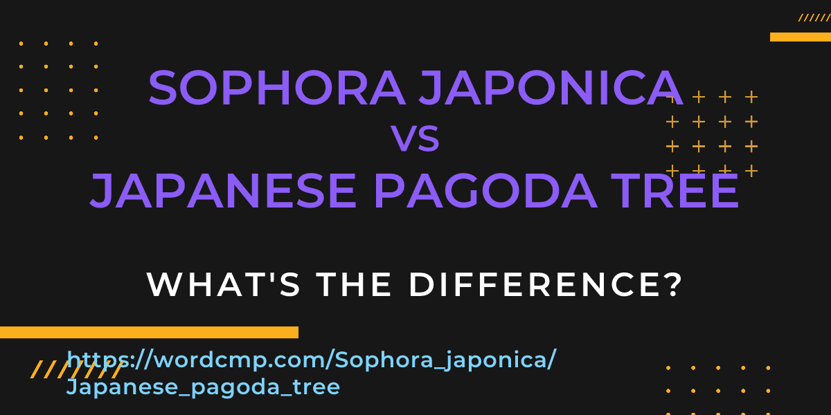 Difference between Sophora japonica and Japanese pagoda tree