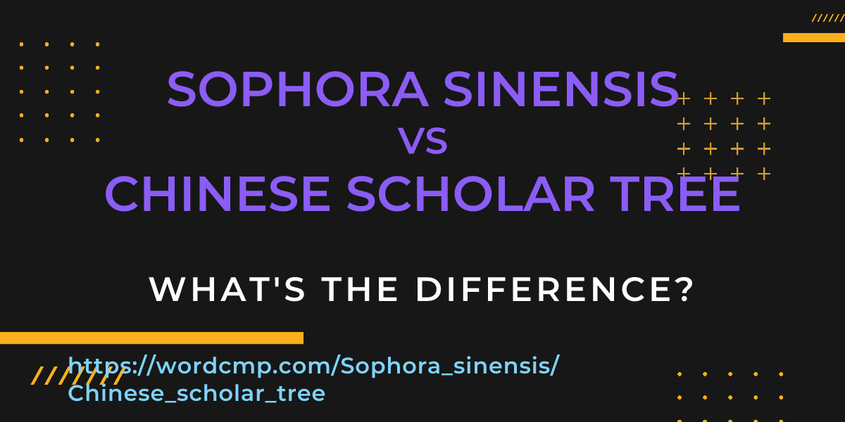 Difference between Sophora sinensis and Chinese scholar tree