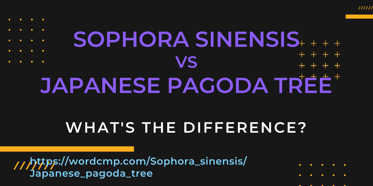 Difference between Sophora sinensis and Japanese pagoda tree