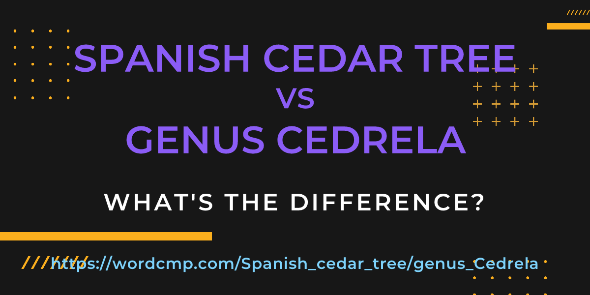Difference between Spanish cedar tree and genus Cedrela