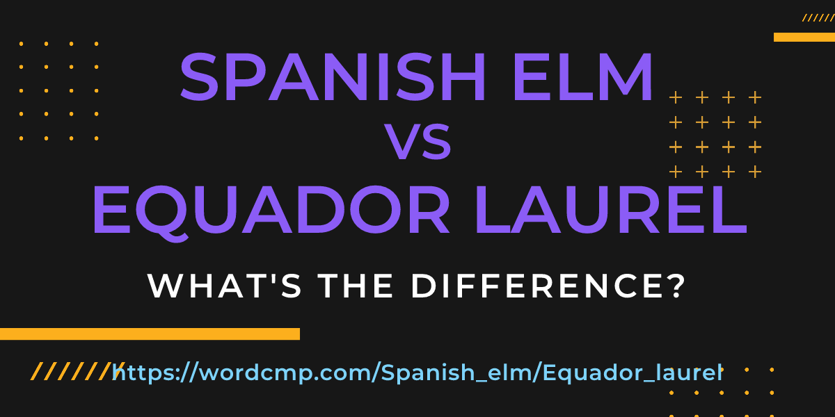 Difference between Spanish elm and Equador laurel