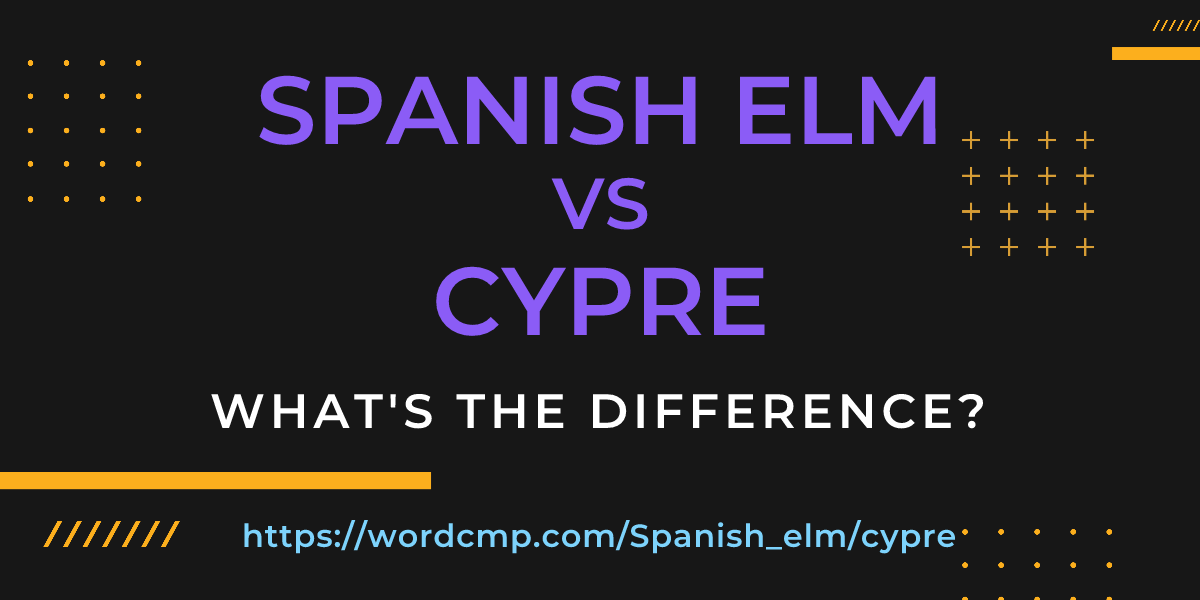 Difference between Spanish elm and cypre