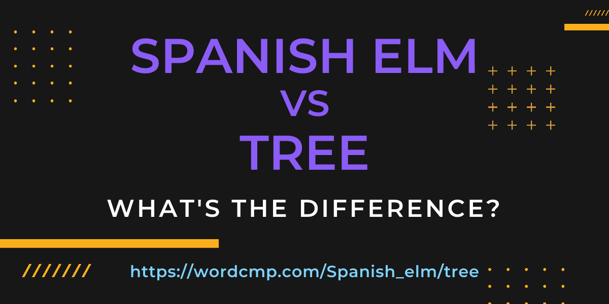 Difference between Spanish elm and tree