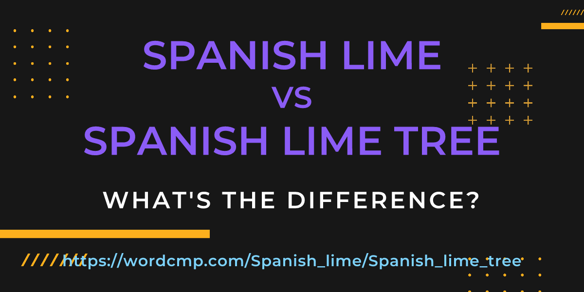 Difference between Spanish lime and Spanish lime tree