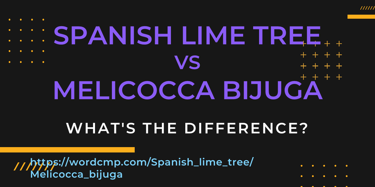 Difference between Spanish lime tree and Melicocca bijuga