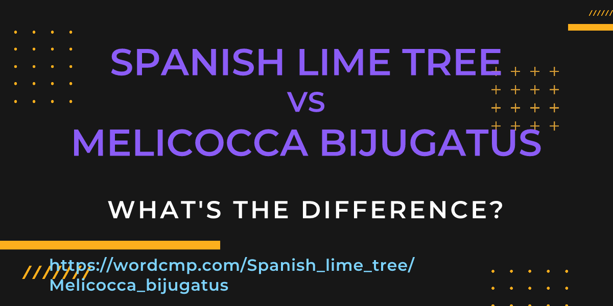 Difference between Spanish lime tree and Melicocca bijugatus